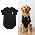 Big Dog Classic Tee - Black V2 V1 V2