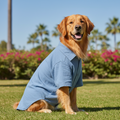 Big Dog Linen Shirt - Blue
