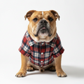 Dog Flannel Shirt
